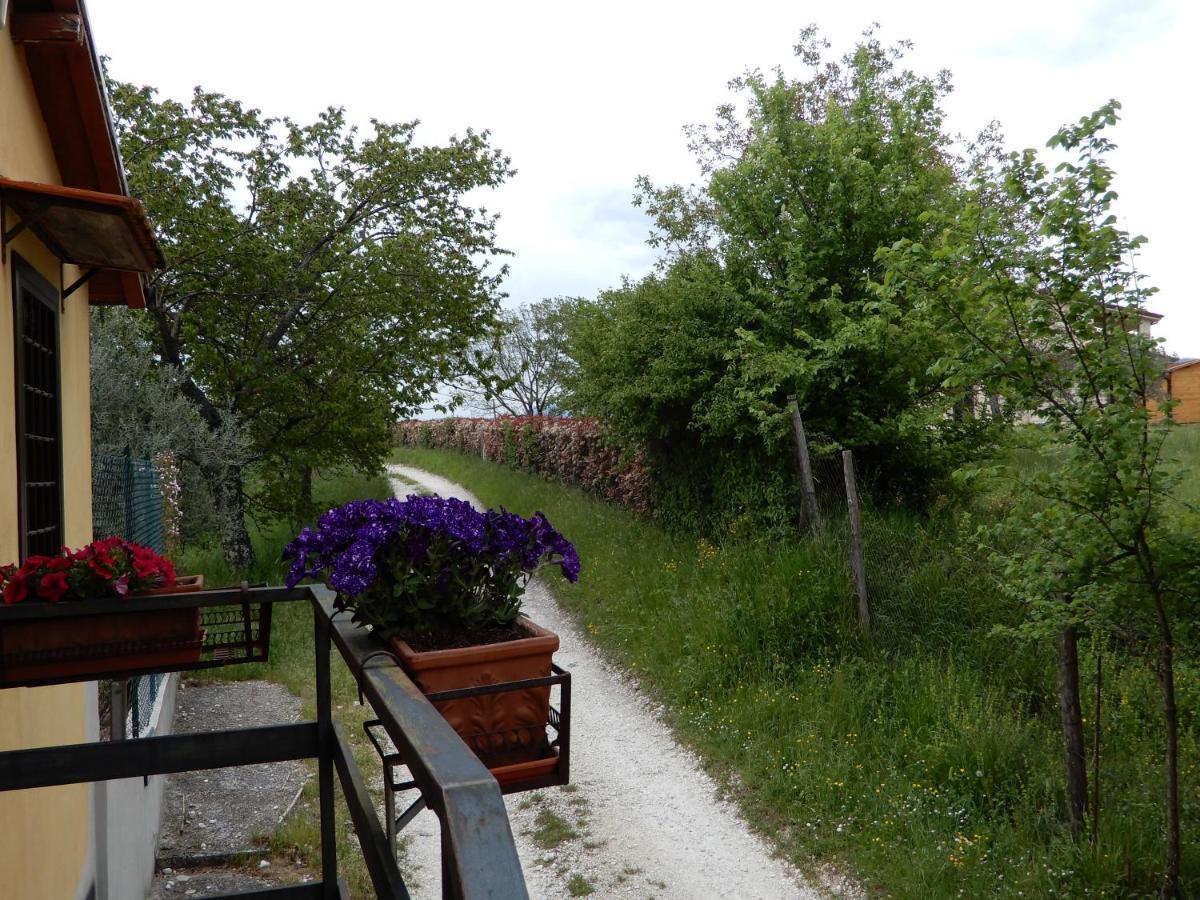 Il Gelsomino Bed and Breakfast Frasso Sabino Exteriör bild